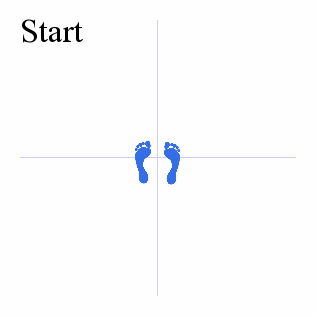 Tsugi-ashi left & right